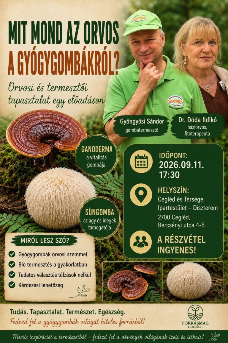 Gyógygomba előadás plakát